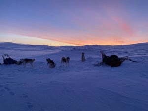 Ráno na Saarijärvi